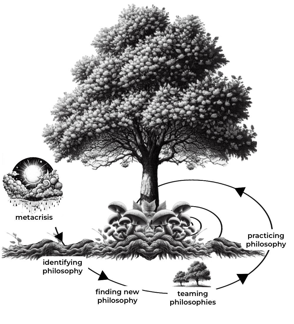 A picture of mycelium